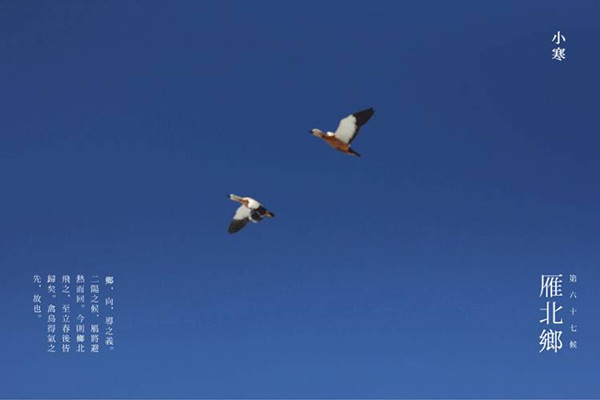 星艺装饰 贵阳公司
