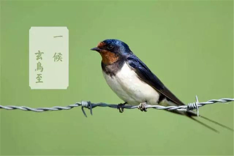 星艺装饰贵阳公司